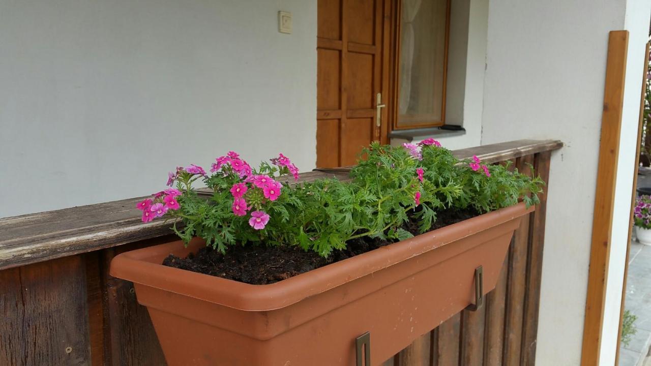 Hotel Elo Tisza Vendeghaz Nagykoru Exterior foto