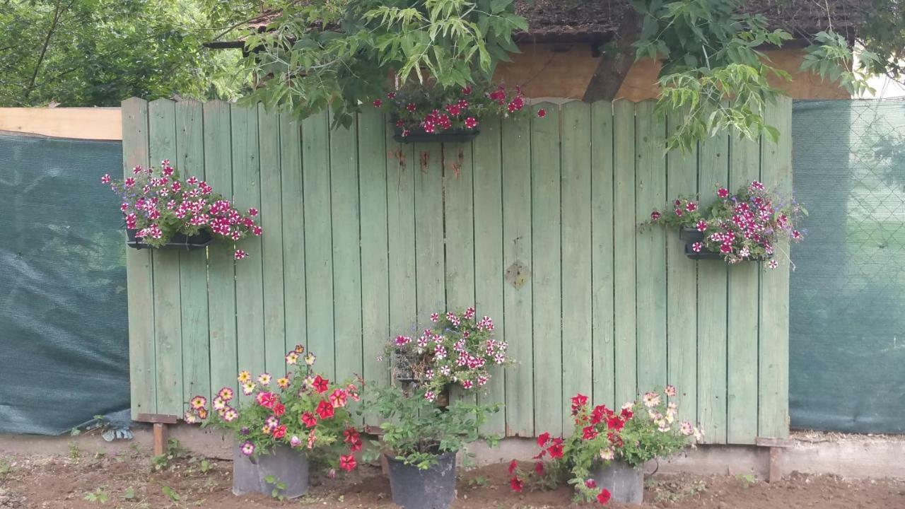 Hotel Elo Tisza Vendeghaz Nagykoru Exterior foto